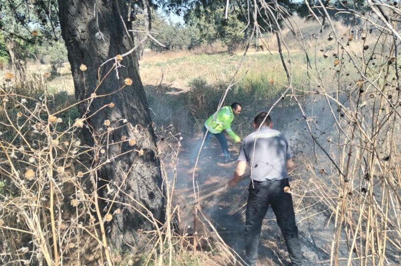 Protección Civil de la Capital atiende incendios de pastizales en Tlaxcala