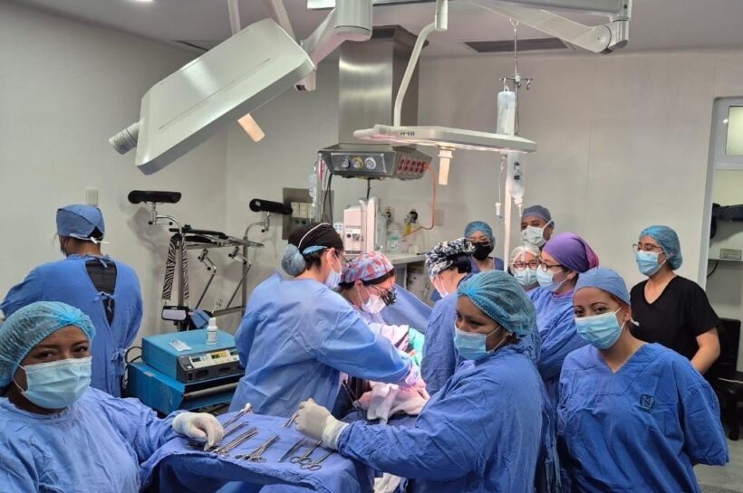 Realizó IMSS Tlaxcala una procuración multiorgánica y 10 de tejidos durante 2024