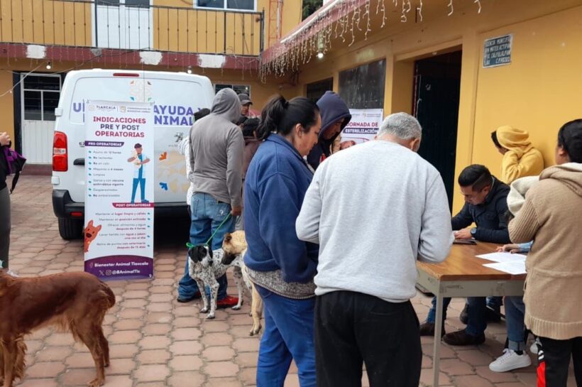 Bienestar Animal realiza más de seis mil esterilizaciones en Tlaxcala durante 2023 y 2024