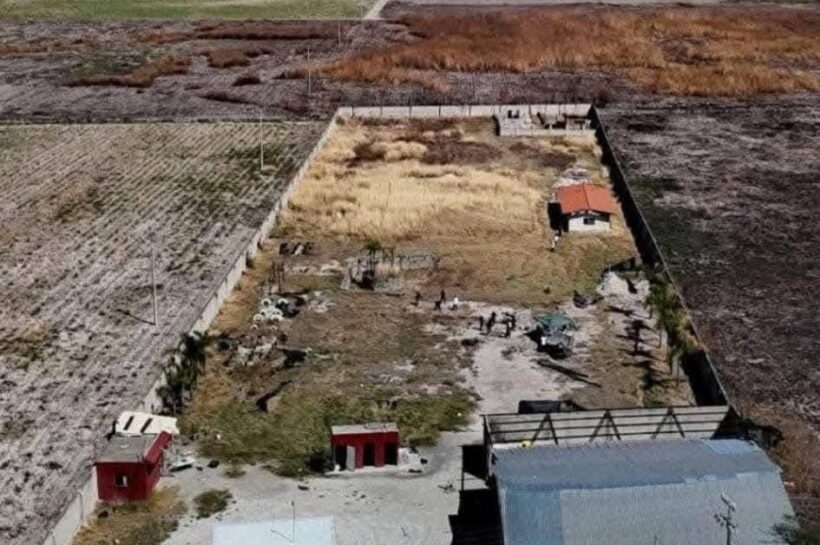 ¡México en crisis! Presidenta Sheinbaum lanza ofensiva contra desapariciones tras descubrirse campo de exterminio en Jalisco