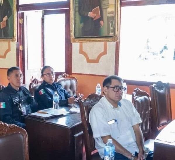 Permisividad municipal propicia tala de árboles bajo autorizaciones ambiguas