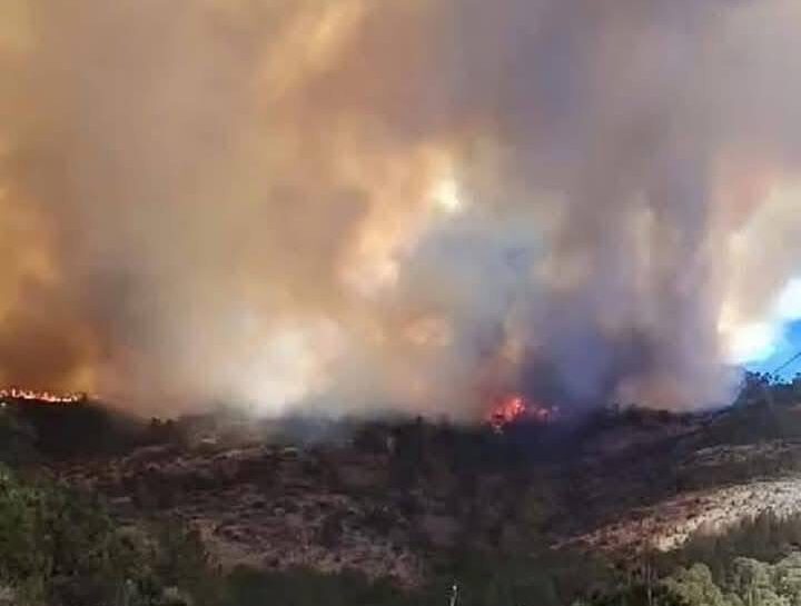 Incendios desatan emergencia ambiental en Tlaxcala: Secretaría del Medio Ambiente