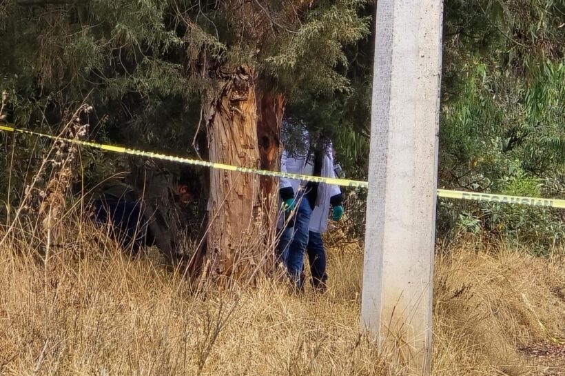 ¡Macabro hallazgo en Acumanala! Encuentran a hombre ejecutado de un disparo en la cabeza