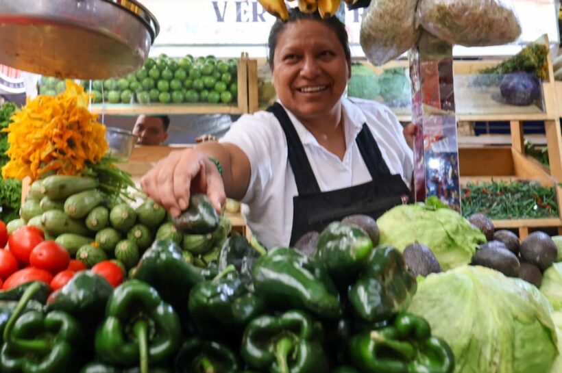 ¡Temporada de chiles en nogada dispara la venta de chile poblano en Tlaxcala!