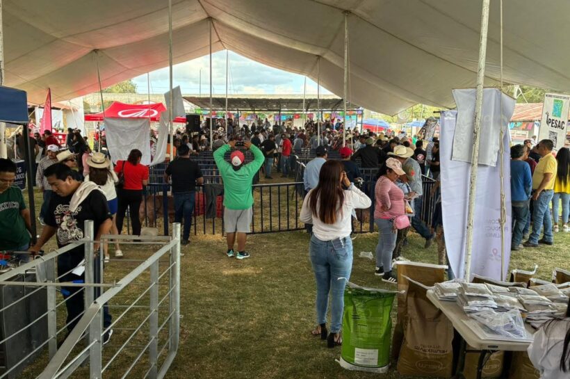 Huamantla realiza primera Subasta Porcina en la Expo Ganadera del Recinto Ferial